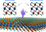 Optically Driven Ultrafast Magnetic Order Transitions in Two-Dimensional Ferrimagnetic MXenes