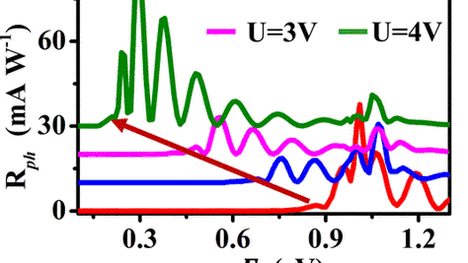 Tunable Photoresponse by Gate Modulation in Bilayer Graphene Nanoribbon Devices