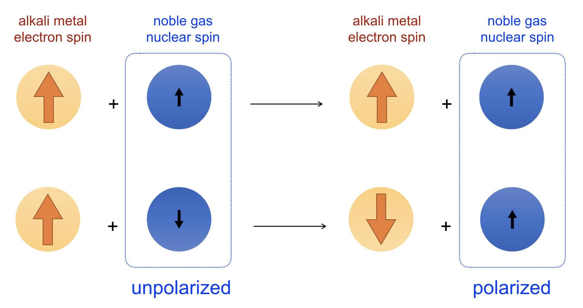 spin-exchange pumping