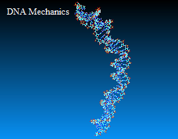 DNA mechanics
