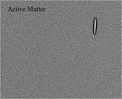 Active Matter